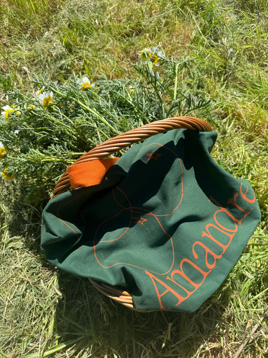 Tote Laranja